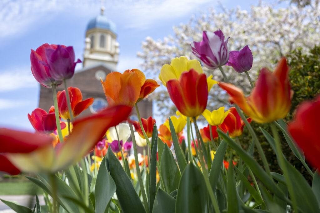 College and university viewbook photography