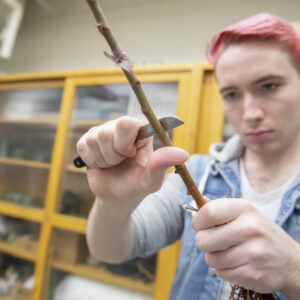 Higher education marketing photography