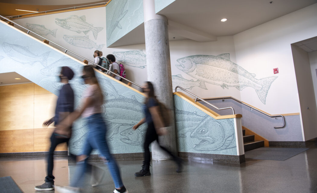 Higher education admissions photography