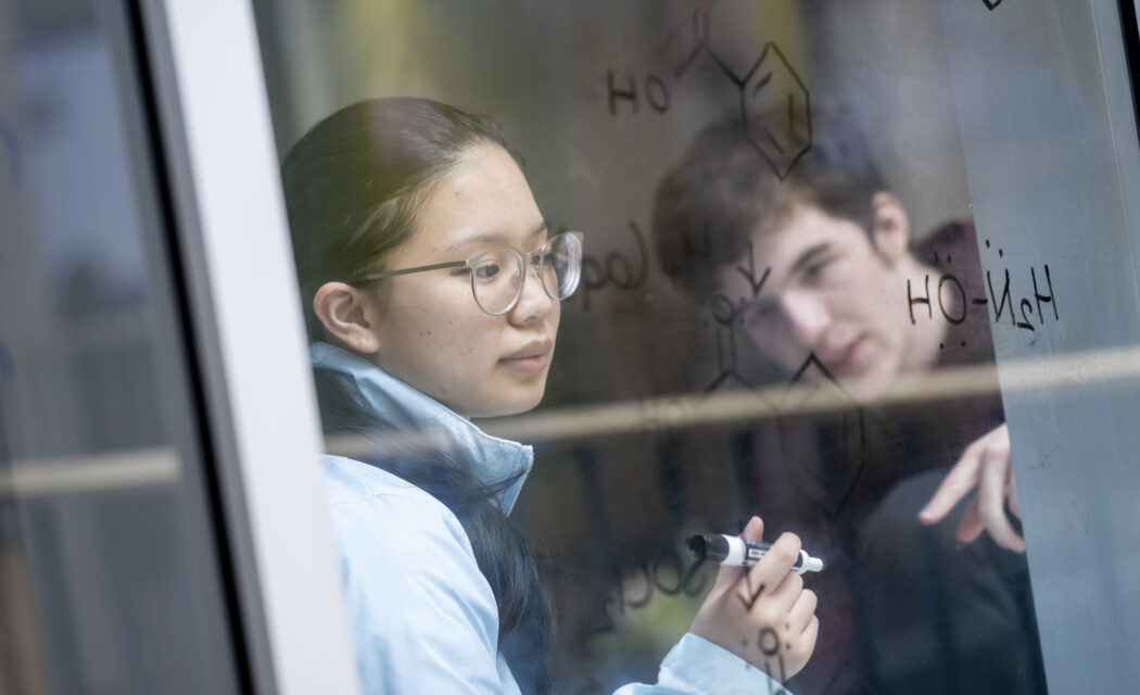 Higher education admissions photography
