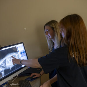 College and university viewbook photography