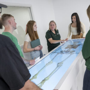 College and university admissions photography