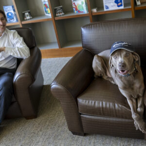 Law school marketing photography