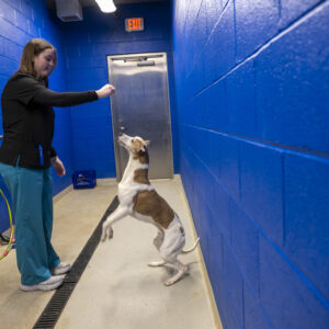 College and university admissions photography