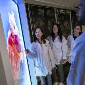 College and university admissions photography